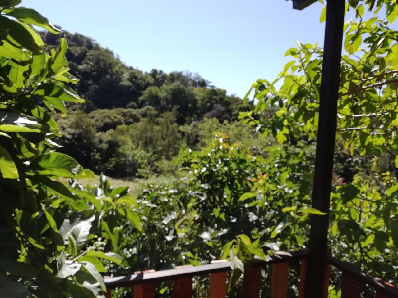 La Guayaba Monteverde Exterior photo